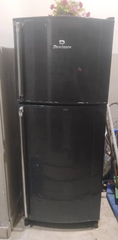 dulance refrigerator health zone