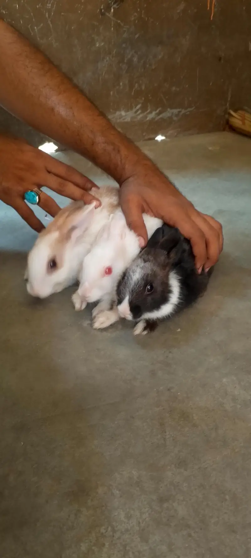 pair 3 baby — photo 2