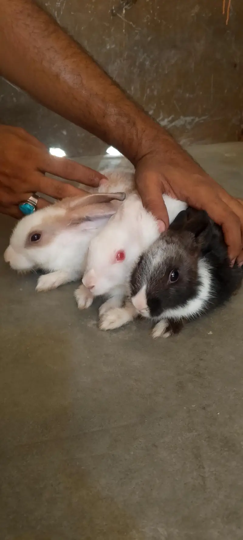 pair 3 baby — photo 3