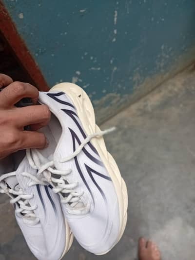 xnoe shose