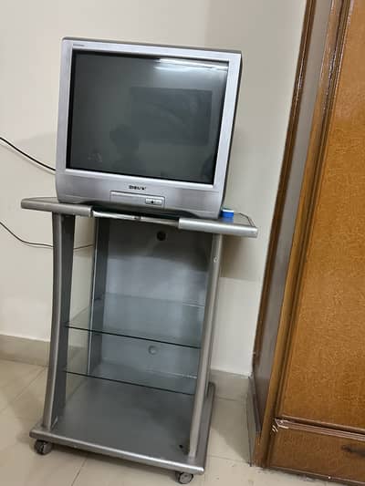 Televesion with stand