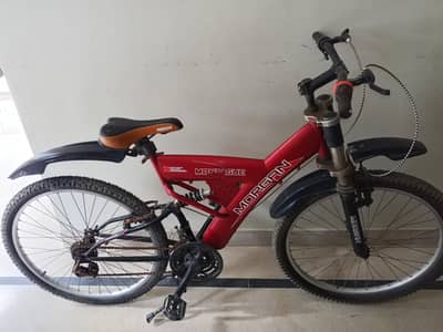 Morgan cycle