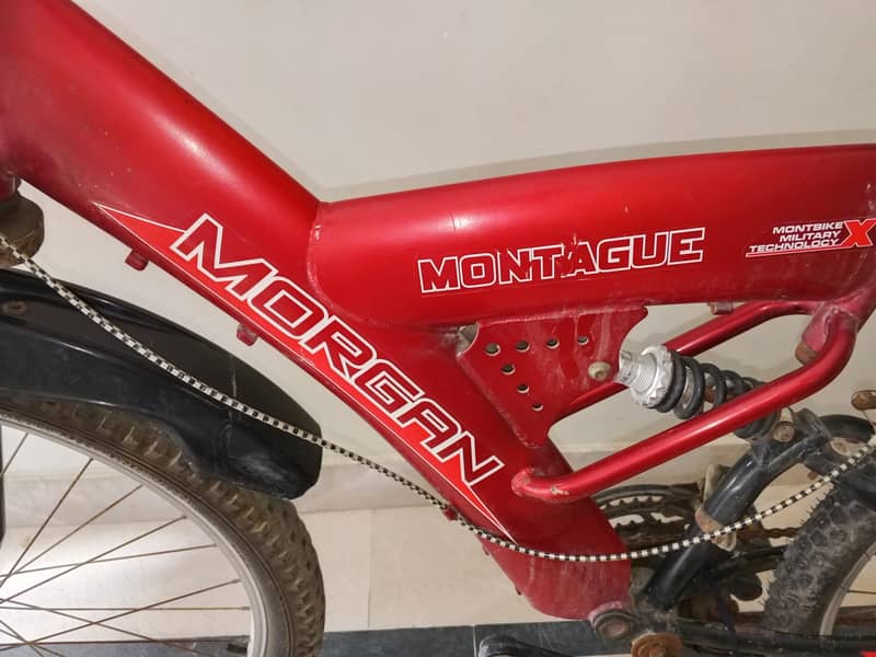 Morgan cycle 1