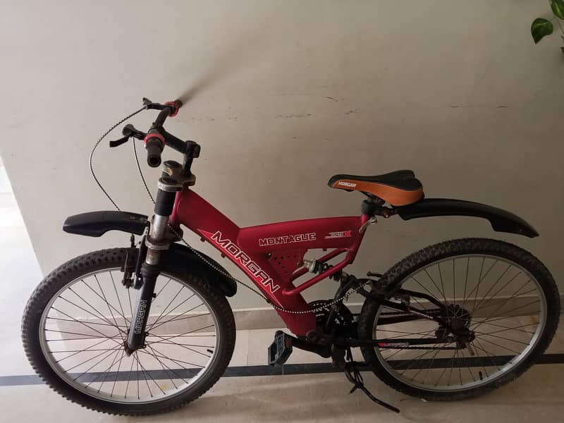 Morgan cycle 2