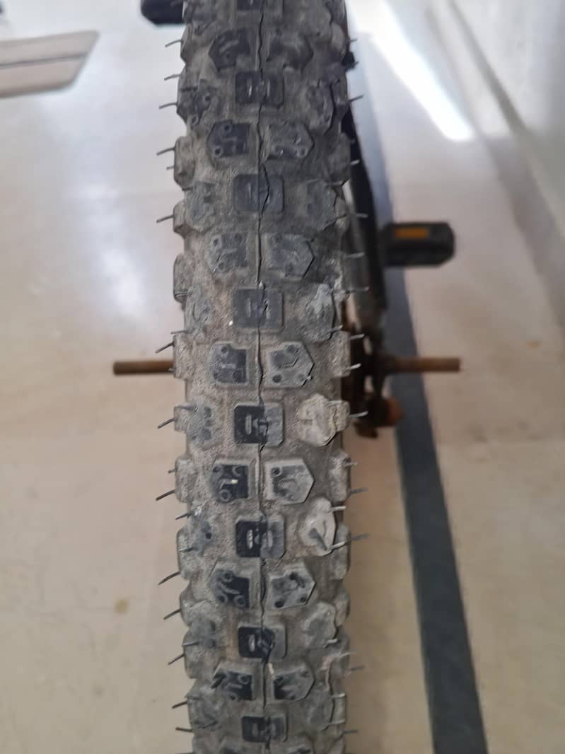 Morgan cycle 3