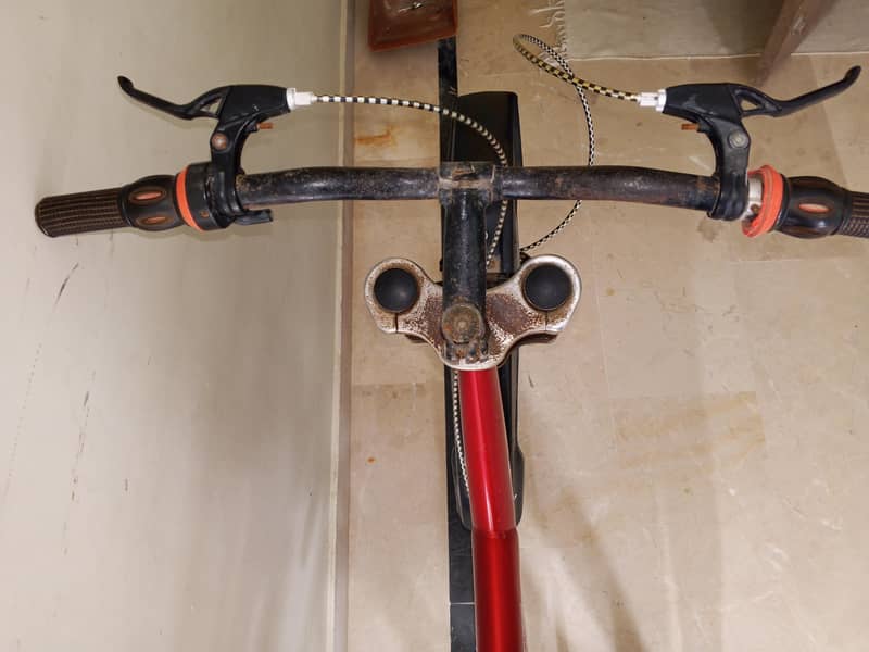 Morgan cycle 4