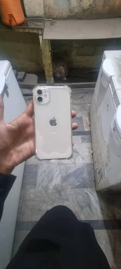 Apple iPhone 11 (icloud)(exchange)