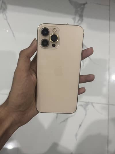 Apple iPhone 12 Pro Max