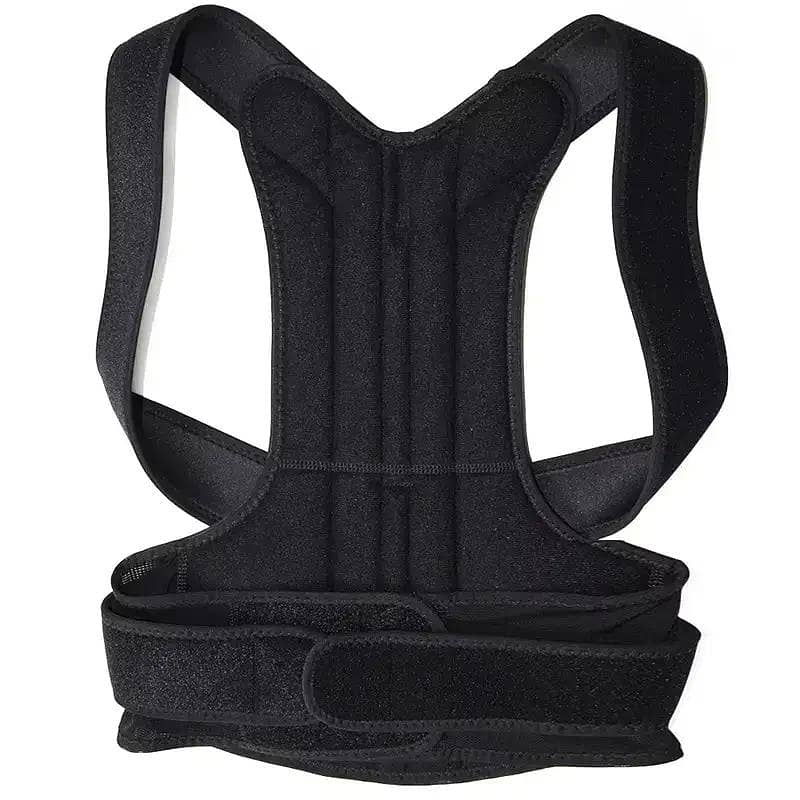 back Support bilt 1