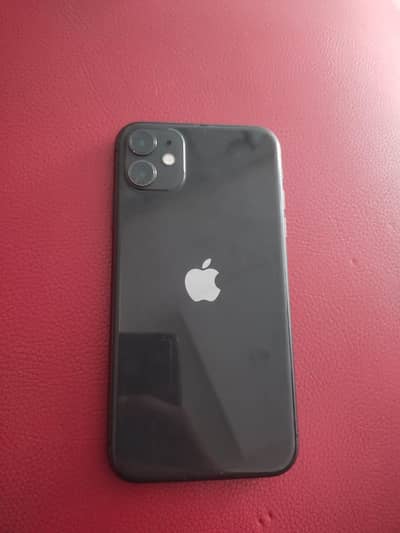 Apple iPhone 11 water pack