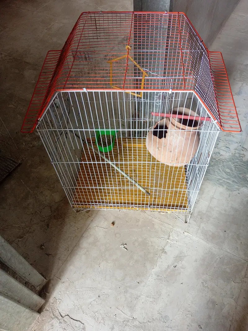 2 solid Cage for sale
