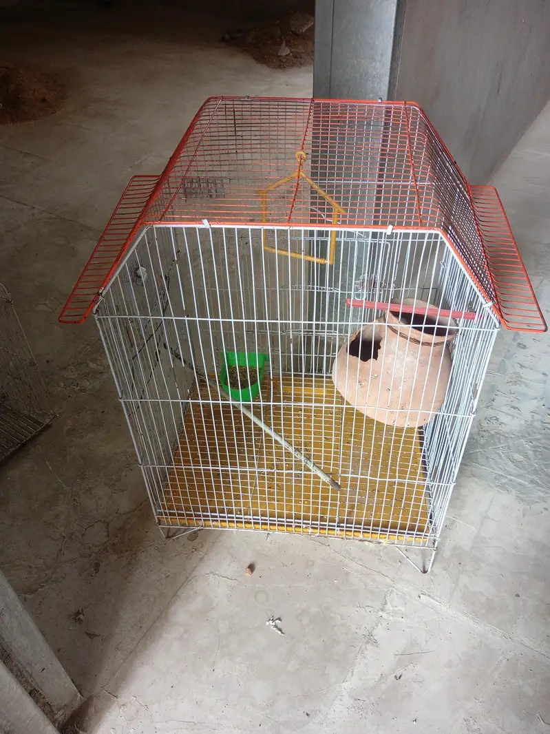 2 solid Cage for sale — photo 2