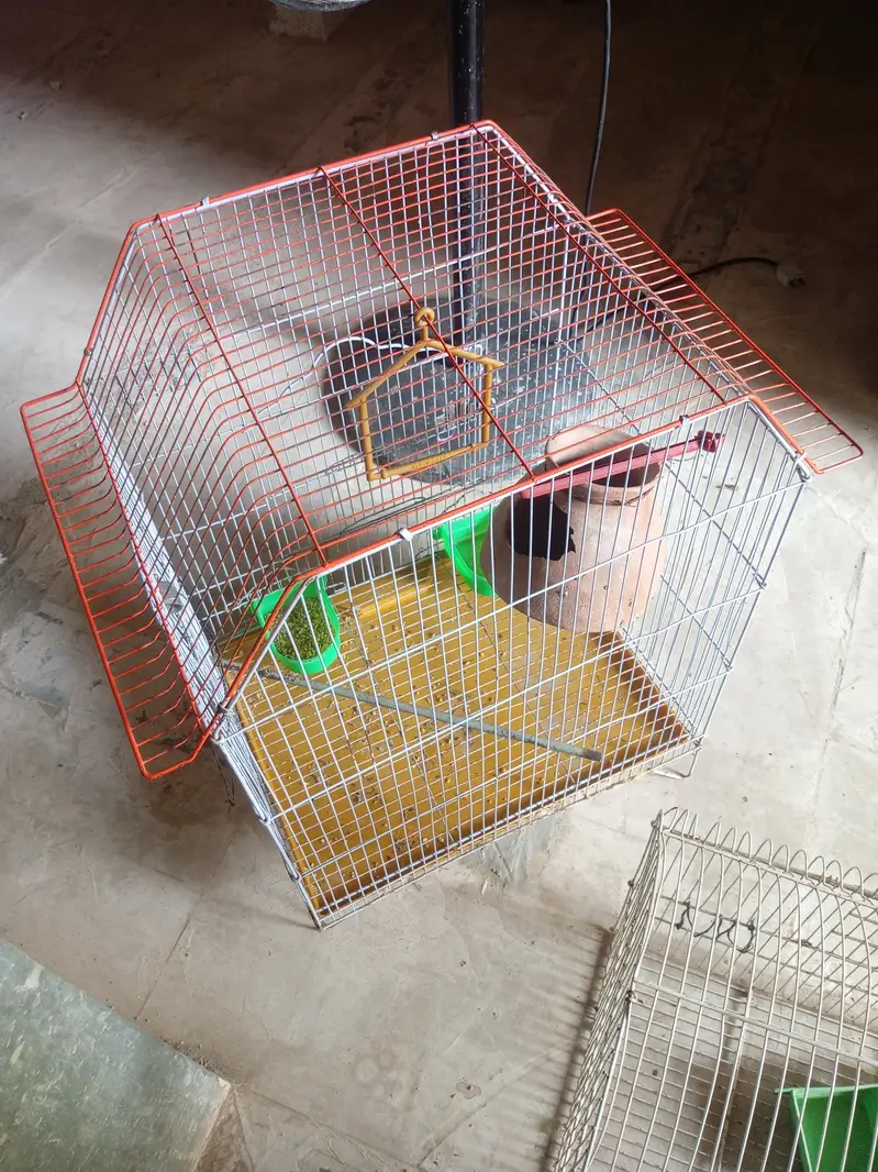 2 solid Cage for sale — photo 3
