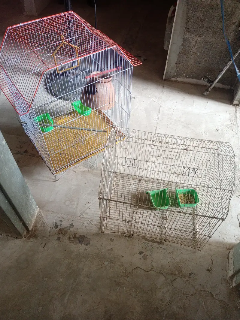 2 solid Cage for sale — photo 4