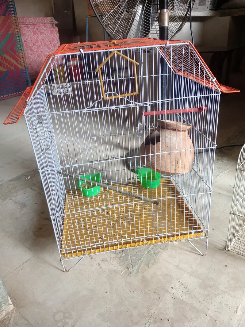 2 solid Cage for sale — photo 5