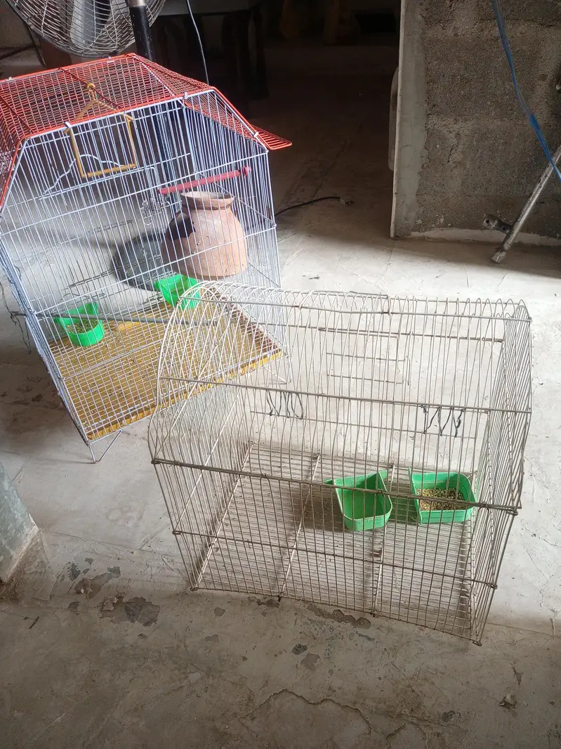 2 solid Cage for sale — photo 6