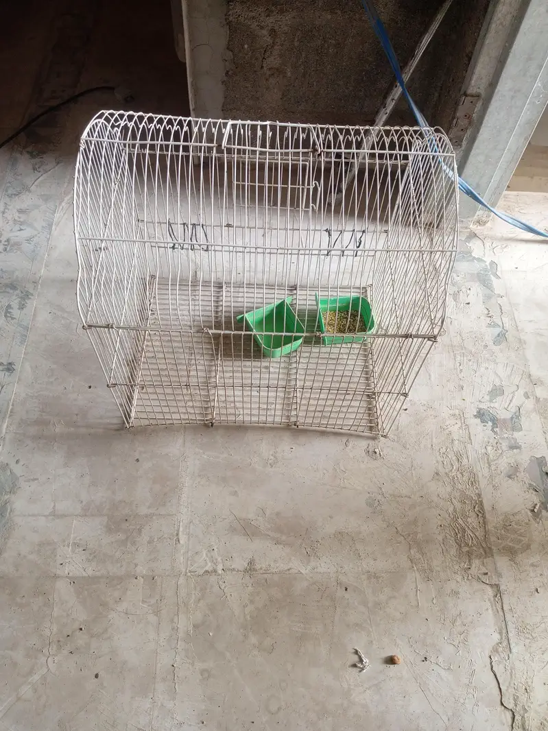 2 solid Cage for sale — photo 7