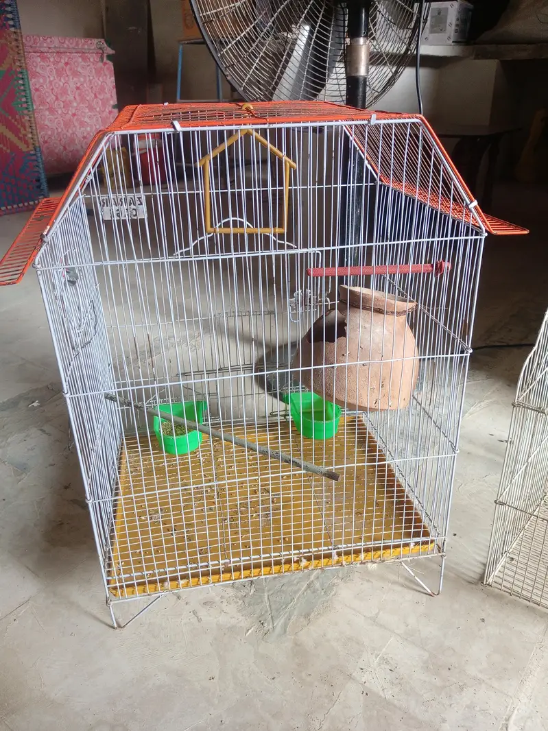 2 solid Cage for sale — photo 8