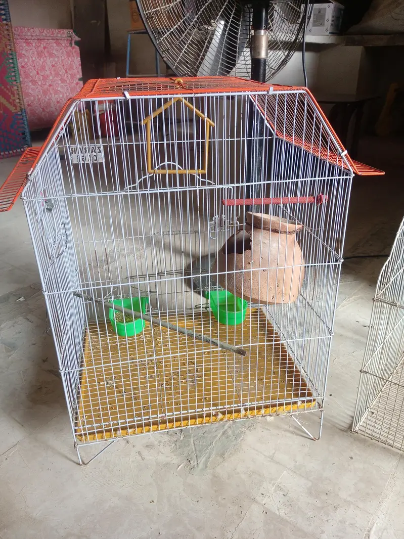 2 solid Cage for sale — photo 9
