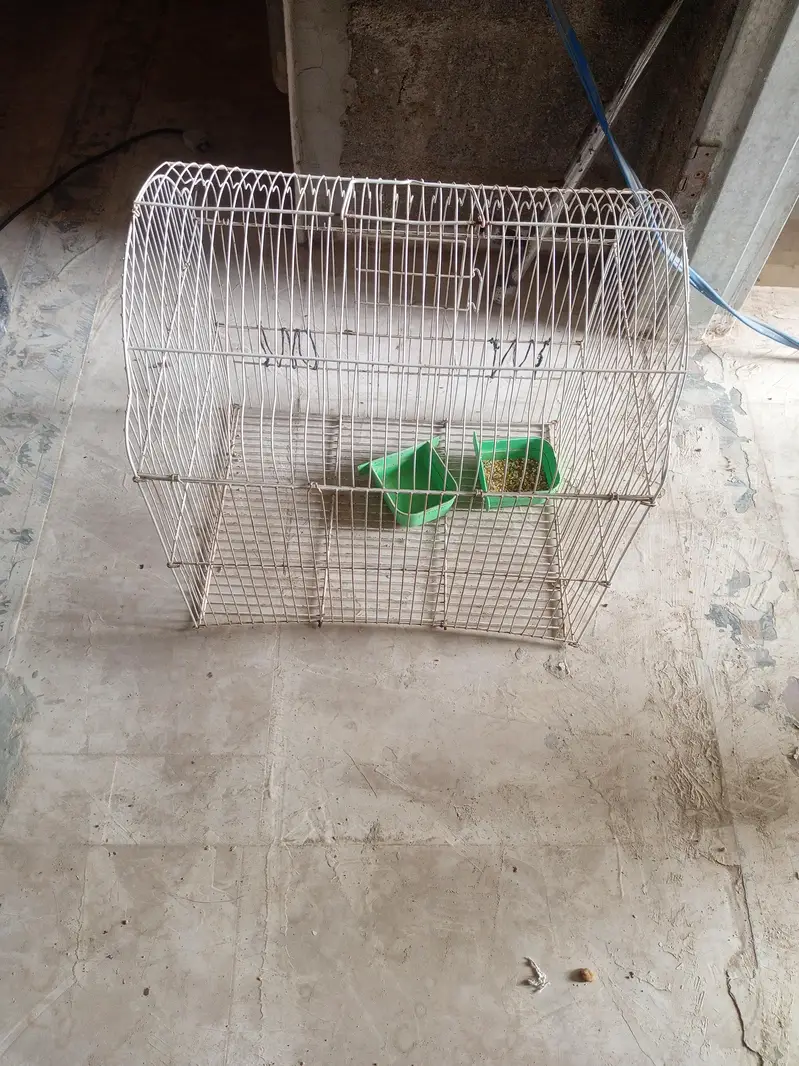 2 solid Cage for sale — photo 10
