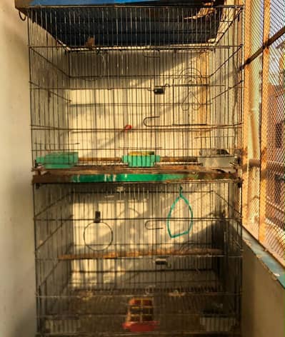 5 Cages for Sale