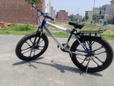 New Phoenix Bicycle