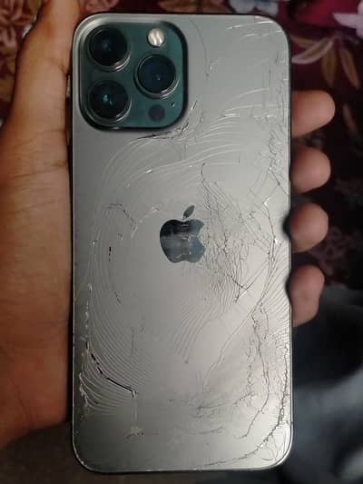 Apple iPhone 13 Pro Max