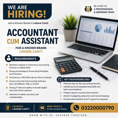 professional Accountant Needed