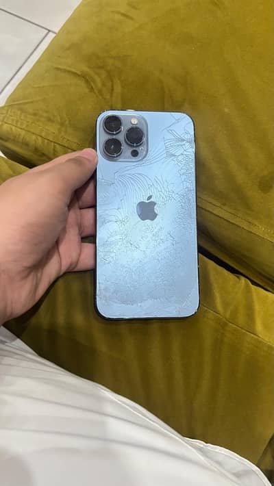 Apple iPhone 13 Pro Max