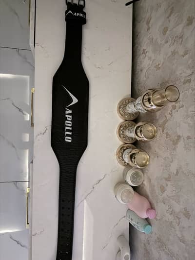 Gym weight lifting belt