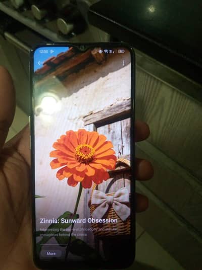 OPPO A16