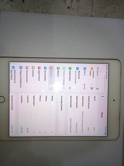 I Pad Mini 5 IOS 26.5