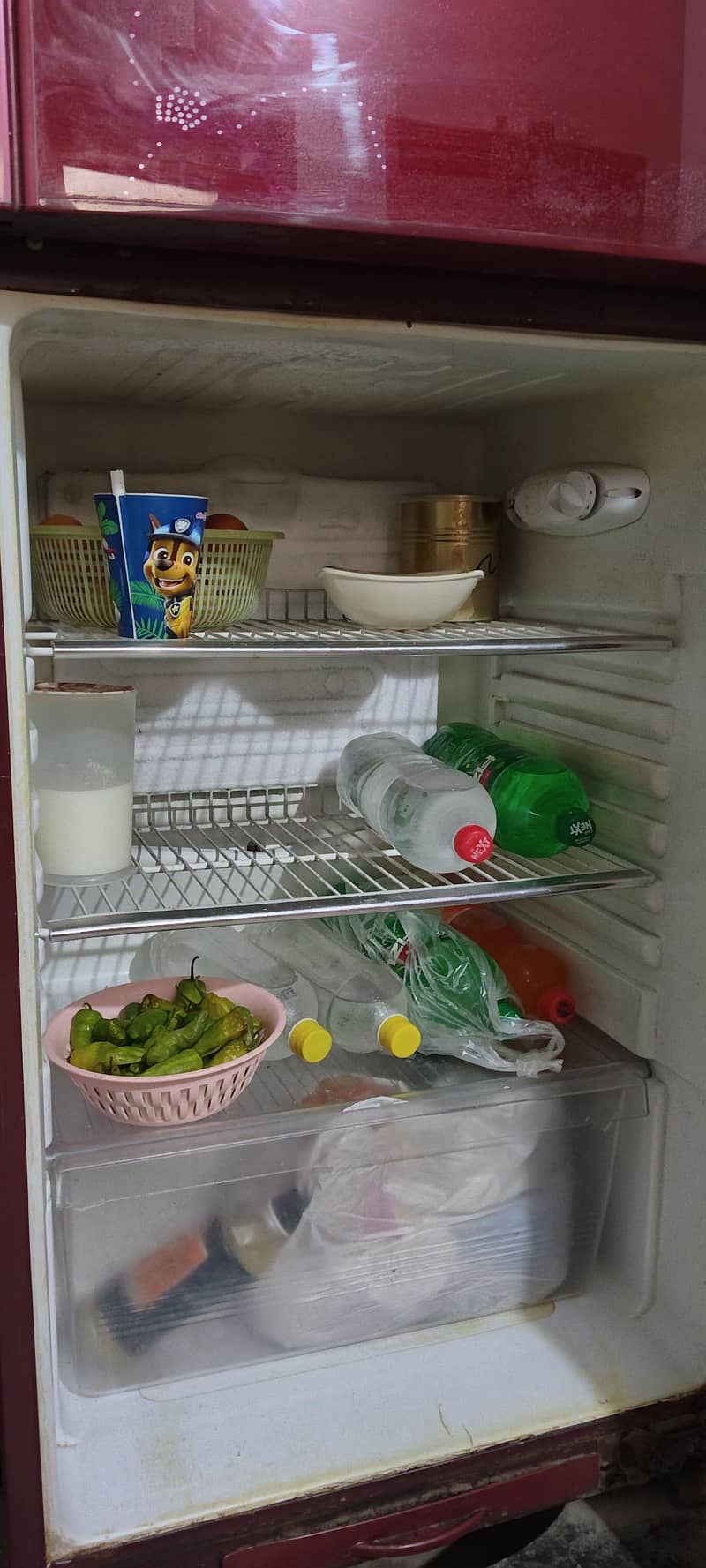 Orient Refrigerator 4