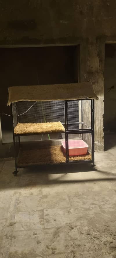 strong iron cage is up for sale|with all accessories