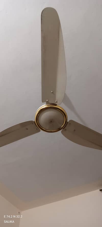 Ceiling fans
