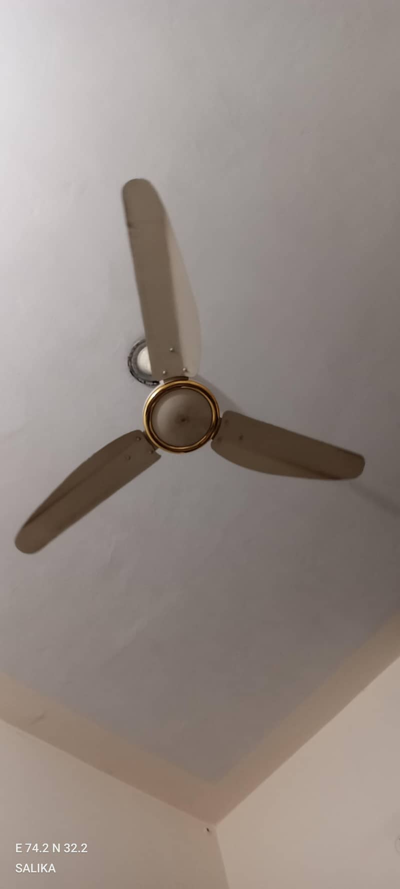 Ceiling fans 6