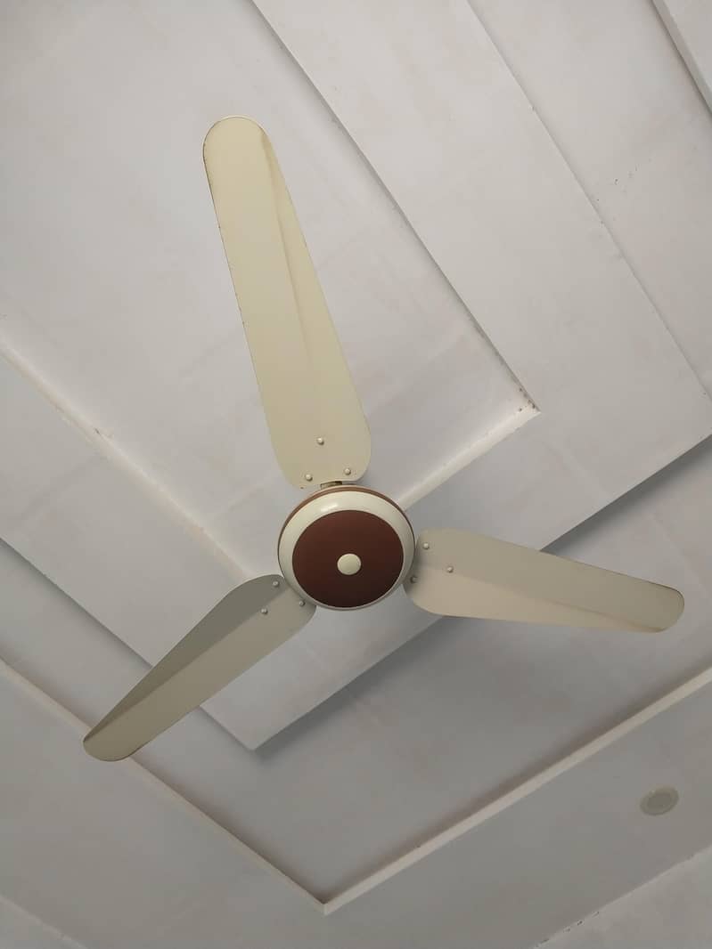 Ceiling fans 7