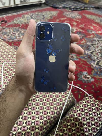 iPhone 12 jv