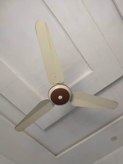 Ceiling fan 220