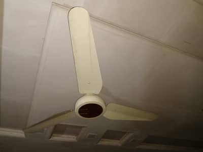 Ceiling fan Ac/220
