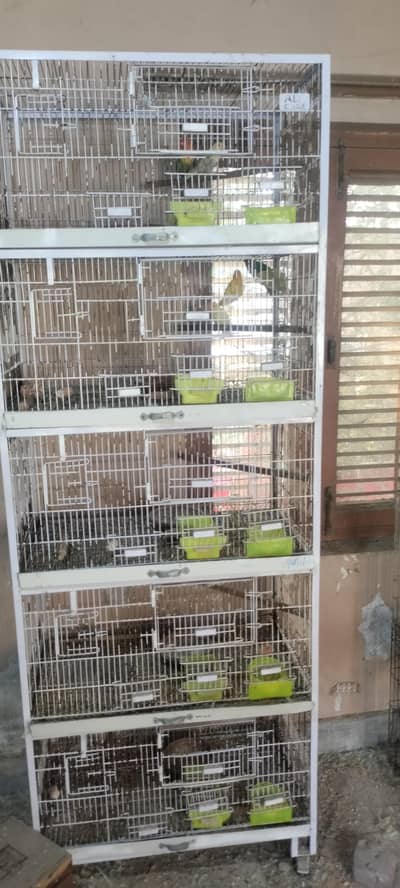 love bird cage