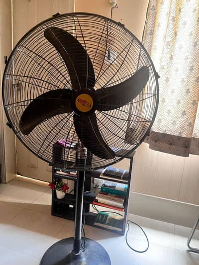 Household items Fan mirror