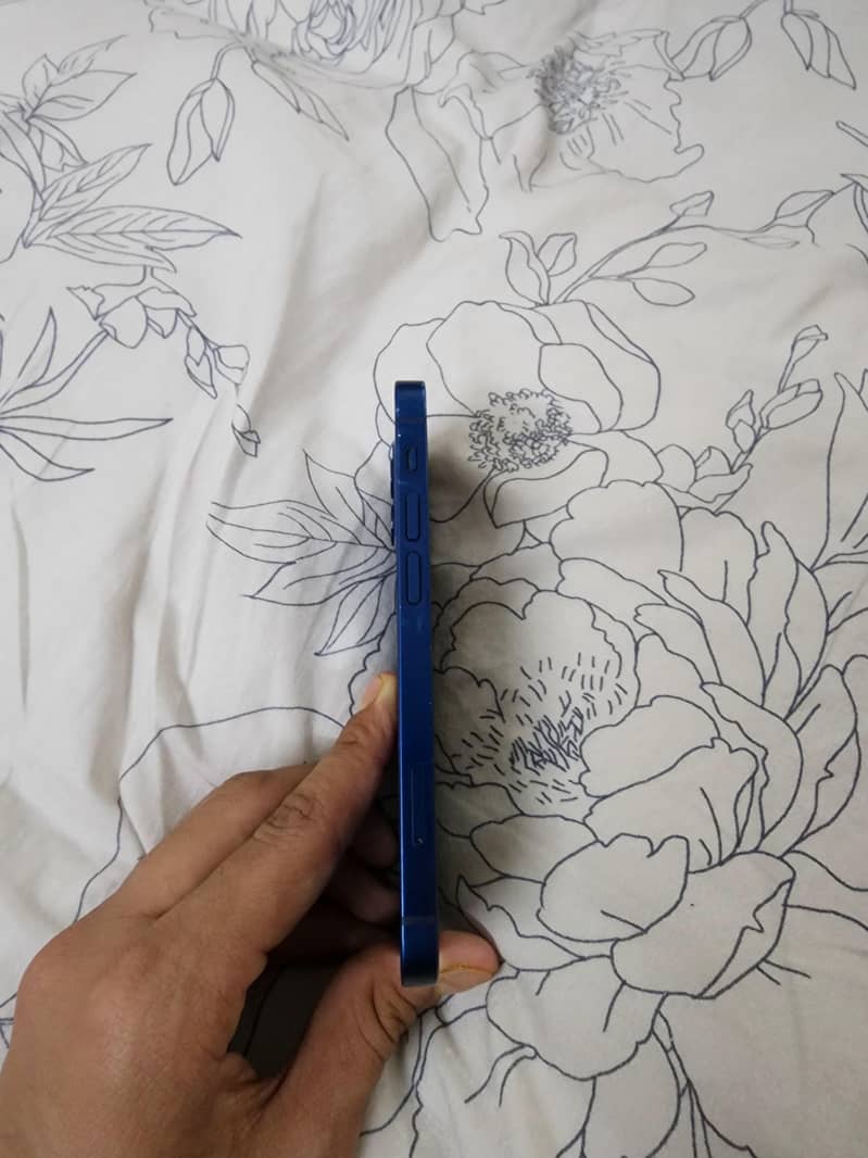 Apple iPhone 12 mini 1