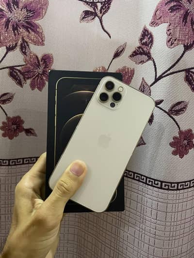 Apple iPhone 12 Pro Dual Physical Approved