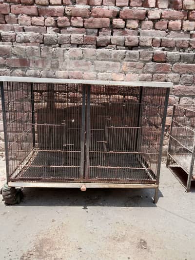 Bird cage