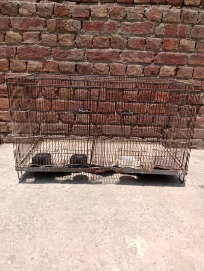 Bird cage