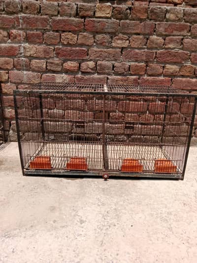 Bird cage