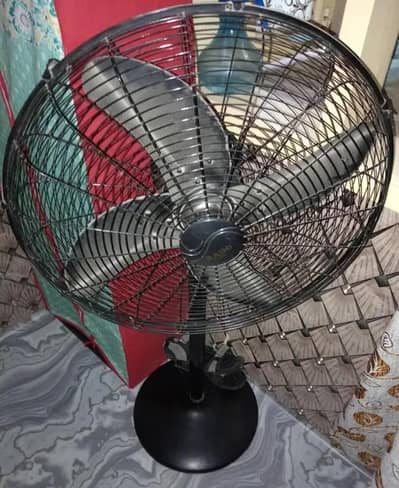 Rado Stand Fan