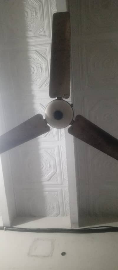only 1 fan