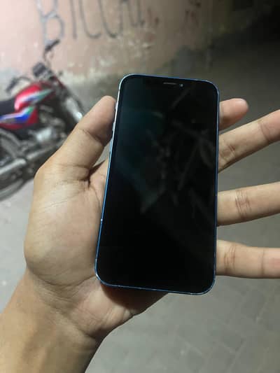 iPhone 12 mini official